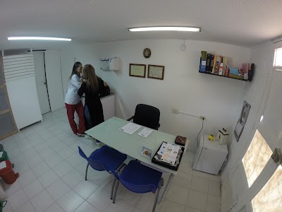 Photos of Animal Lovers Store