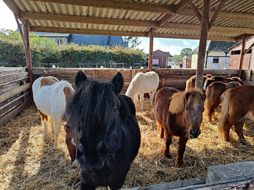 Poney Club Du Genetey - Thumbnail