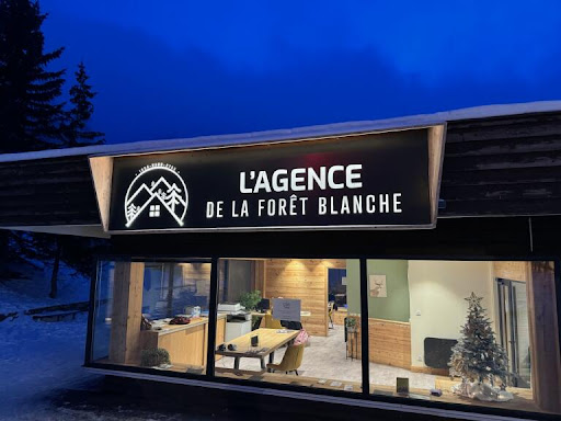 Agence de Vars - La Forêt Blanche