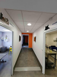 Photo n°19 de CLINIQUE VETERINAIRE DES BOURBONS à Montluçon (Clinique vétérinaire)