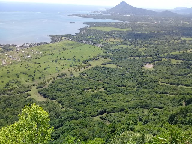 Ebony Forest Chamarel