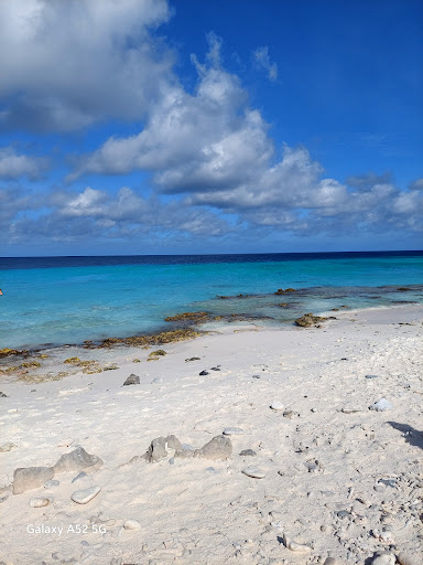 Bonaire Cruisers Golf Carts - Thumbnail