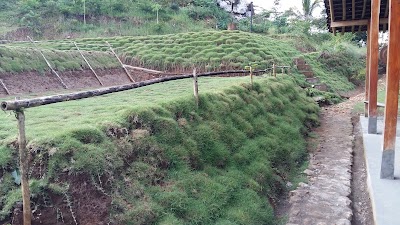 Photos of Kampung Watu Blencong