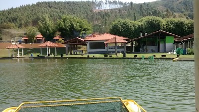Photos of Piscicultura Fazolin