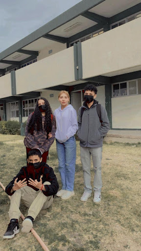 C.B.T.a. No. 47 - Visual