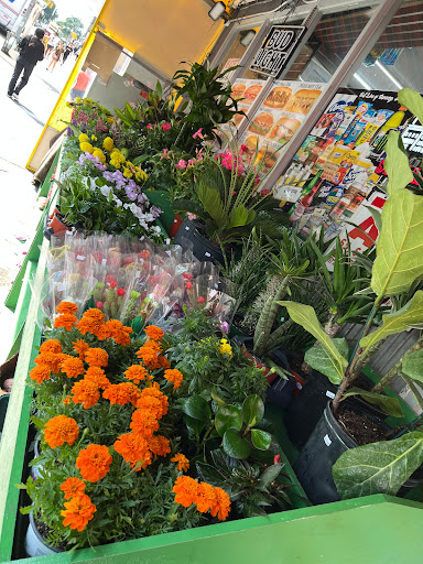 AADHYA DELI & GROCERY - Thumbnail