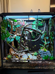 Photo n°7 de Aquadecor à Nice (Magasin d'aquariophilie)