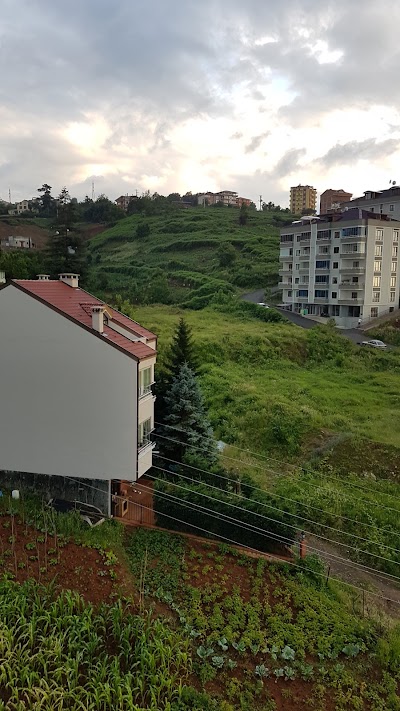 Photos of Andalouse Hills Hotel