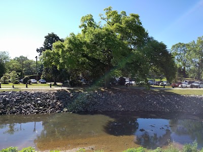 Town Square Park