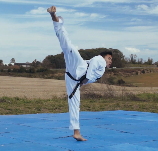 Alpha Martial Arts Academy - taekwondo in Columbia, Maryland