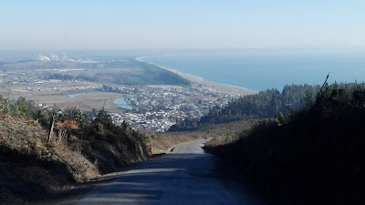 Photos of Forestal Arauco