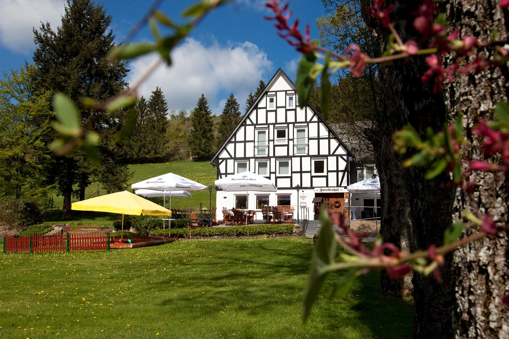 Forellenhof Wingeshausen - Frühstückspension und Selbstbedienungscafé