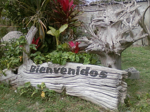 Grabado Artesanal, Wood Signs Gallery - Mexico