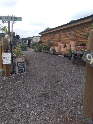 Allington Plants and Garden Shop - Thumbnail
