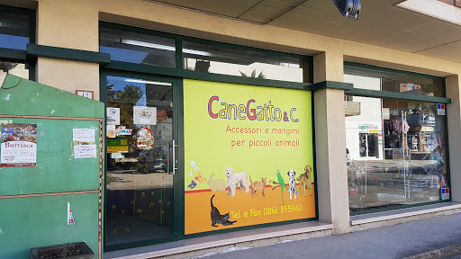 CaneGatto - Visual