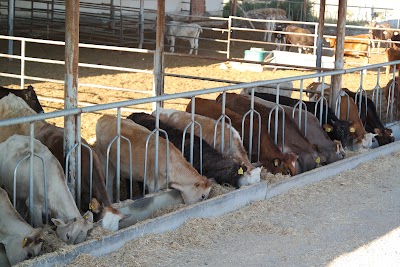 Photos of Erdal Yaşar Livestock Farm