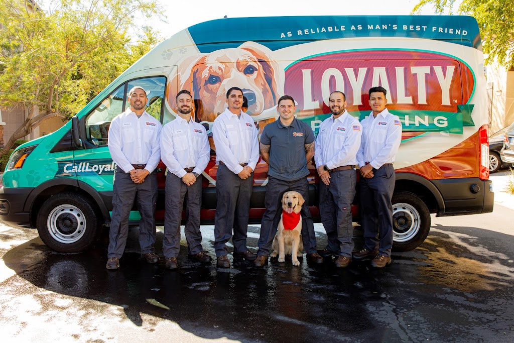 Loyalty Plumbing - Plumbing Services