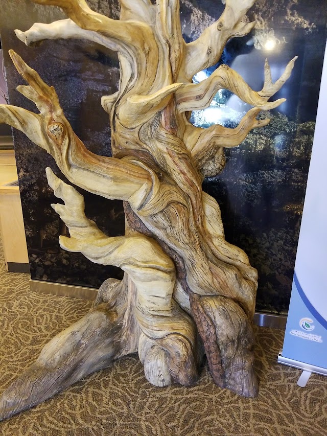 Great Basin Visitor Center