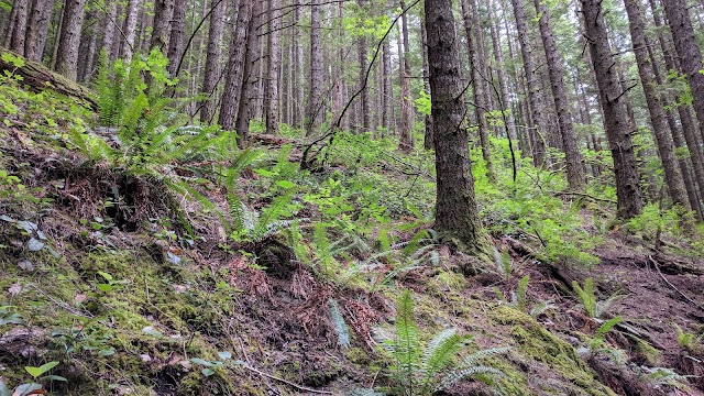 Rattlesnake Ledge