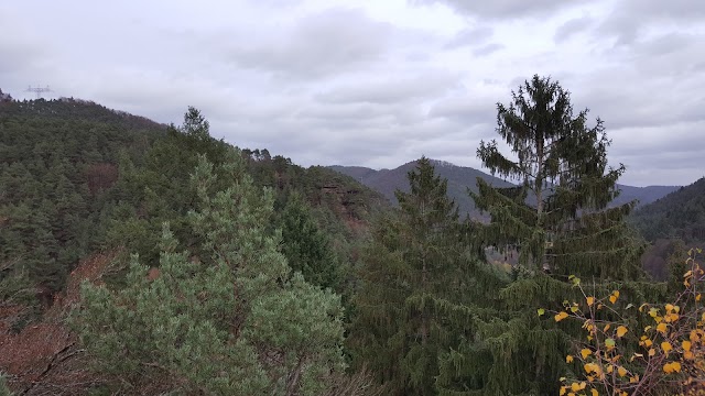 Wilgartaburg