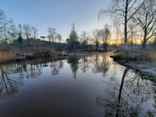 Pittelose Park - Thumbnail