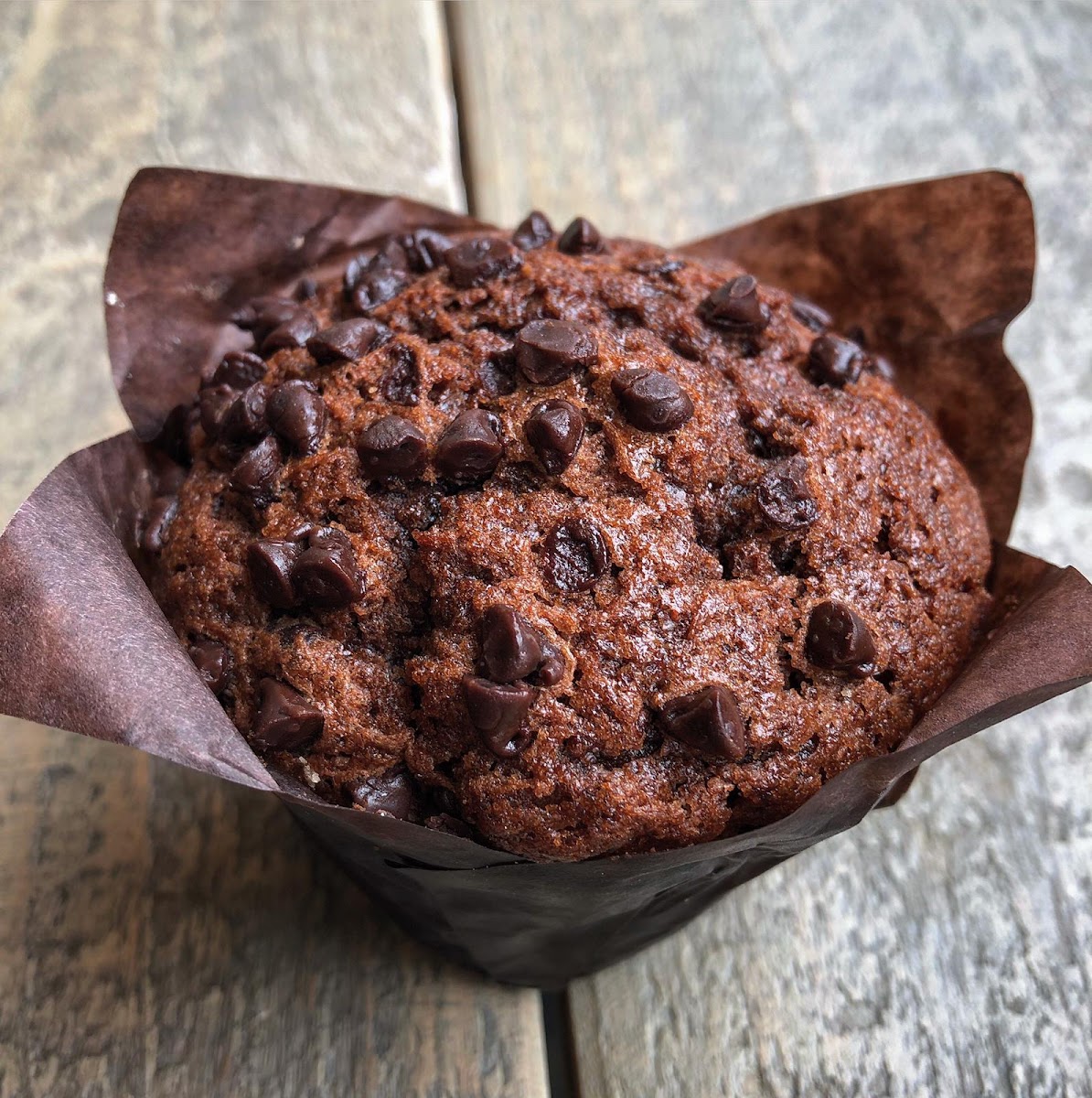 Everyday Bread & Coffee — photo 4