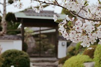 一棟貸し宿 Villa SHINOBI -忍-