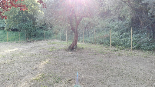 Area Cani Via Torelli - Thumbnail