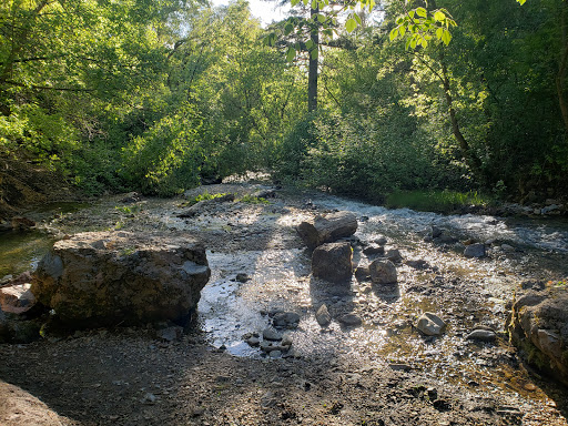 Intake Campground - Visual