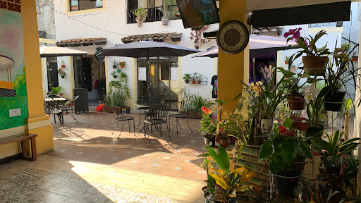 Plaza MAPARE - Visual
