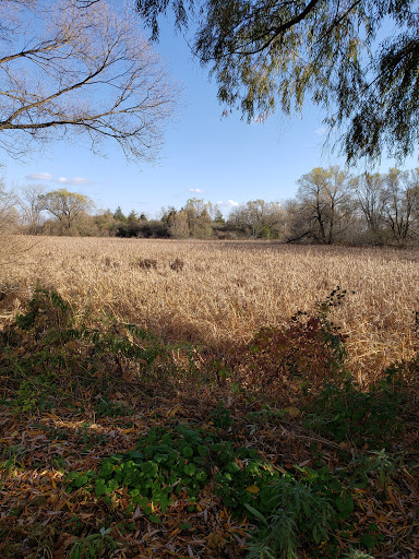 Hidden Trail - Visual