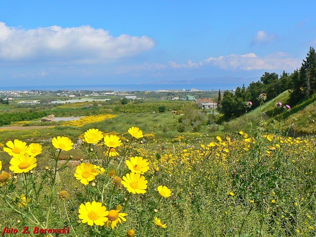 Archaological Site Of Corinth And Temple of Apollo