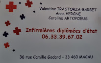 Artopoeus caroline à Macau