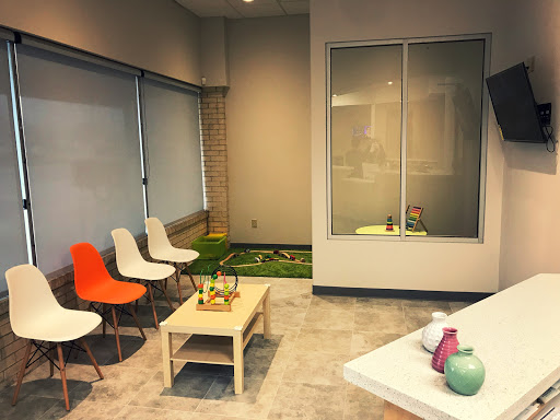 Citrus Dental & Kids - Thumbnail