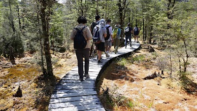 Photos of Clinton Valley Wetland Boardwalk