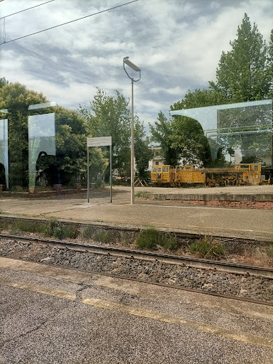 Alfonsine - Visual