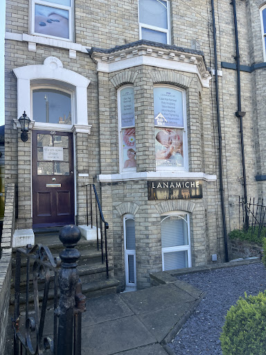 Lanamiche
