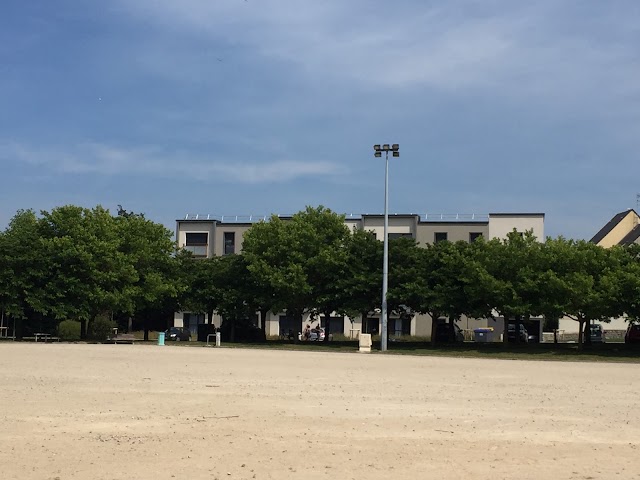 LE POINT DU JOUR - CENTRE REGIONAL DE LA P