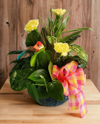Scarlett's Flowers & Gift Baskets - Thumbnail