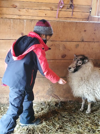 Heritage Farm Petting Zoo Center