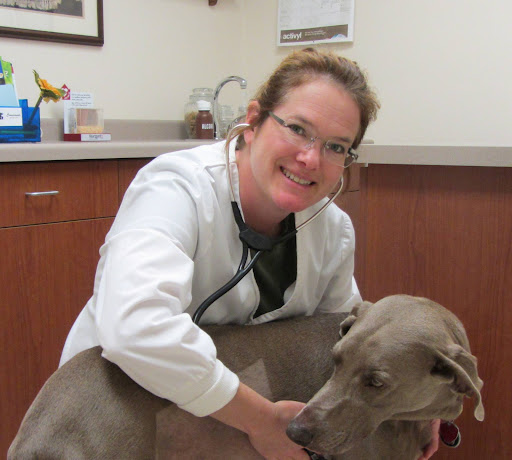 Crossroads Veterinary Clinic: Tami Strom, DVM - Thumbnail