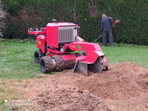 Photo n°5 de ELAGAGE GARNIER à Breteuil (Paysagiste)