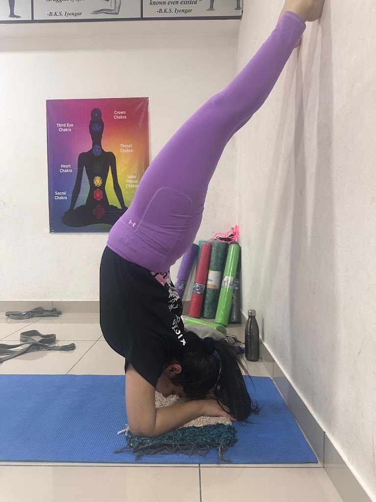 Haridwar Yog Kendra Iyengar Yog Studio