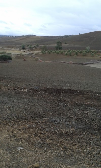 Photos of SOUK Had Ras El Oued