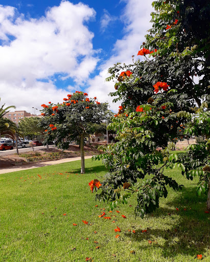 Parque de la Mayordomía - Thumbnail