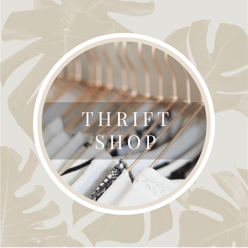 Thrift Hunter - Visual