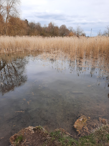Zwergenlöcher - Visual
