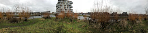 Het eiland - Visual