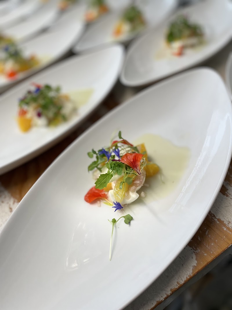 A Tutta (アトゥッタ）