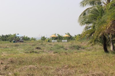 Photos of Harbaria Eco Park Jetty, Sundarbans